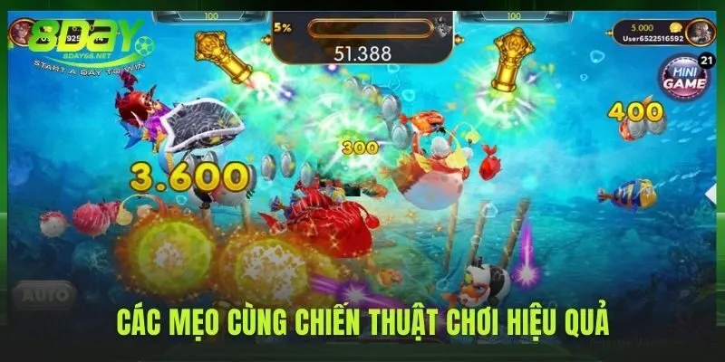 Mẹo chơi hiệu quả từ bắn ria đến tập trung săn boss