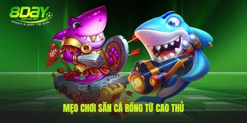 Kinh nghiệm săn cá rồng dựa vào chiến thuật và kỹ năng